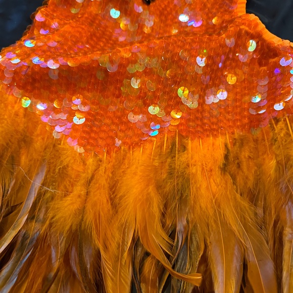 Burlesque Dress - Picture 8 of 10